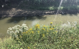 The City's Stormwater Management Plan addresses ways to reduce and improve stormwater