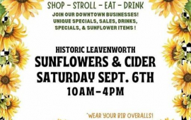 Sunflowers & Cider Day