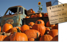 Kerby Farm Pumpkin Patch