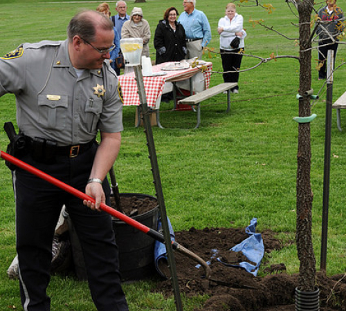 Sheriff planting a legacy tree