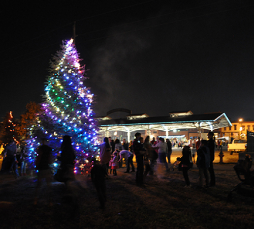 lit evergreen tree at night with purple, white, blue and green lights and people standing around it in the dark