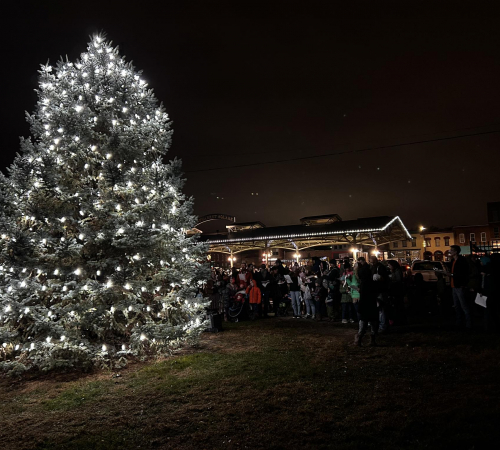 Mayor's Tree Tree lit with lights at night next to Haymarket Square