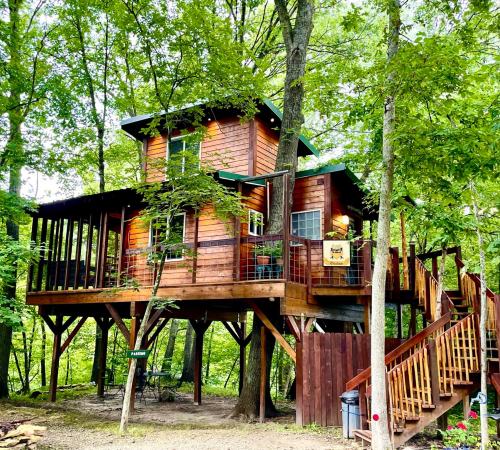 treehouse