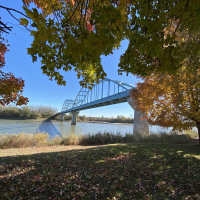 Bridge Fall leaves along Missouri River with bridge in background