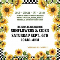 Sunflowers & Cider Day
