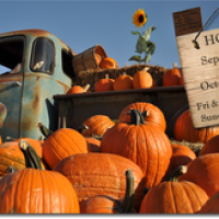 Kerby Farm Pumpkin Patch