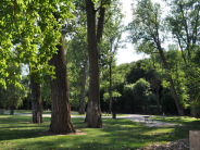 Green trees surround empty lot