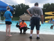 Doggie Life Vest
