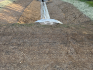 New storm drain Ditch