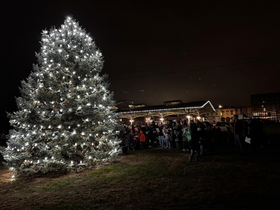 Tree lit with lights at night next to Haymarket Square
