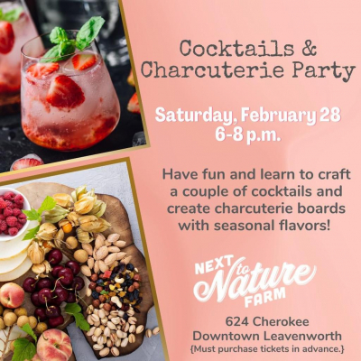 Cocktails & Charcuterie Party