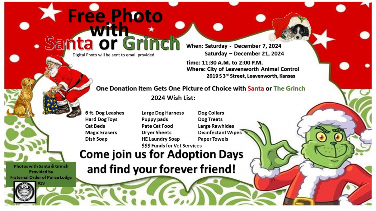 Pet adoption flyer Flyer reads text below with images of Santa and the Grinch in red and green