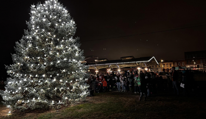 Tree lit with lights at night next to Haymarket Square