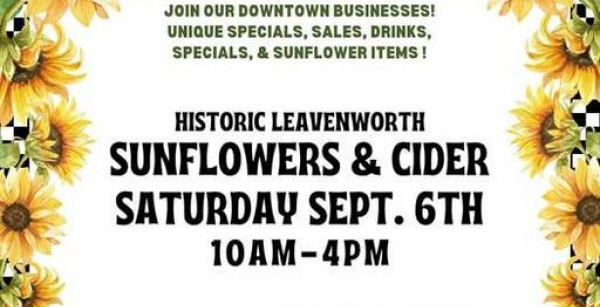 Sunflowers & Cider Day