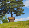 Mount Cavalry Cemetery